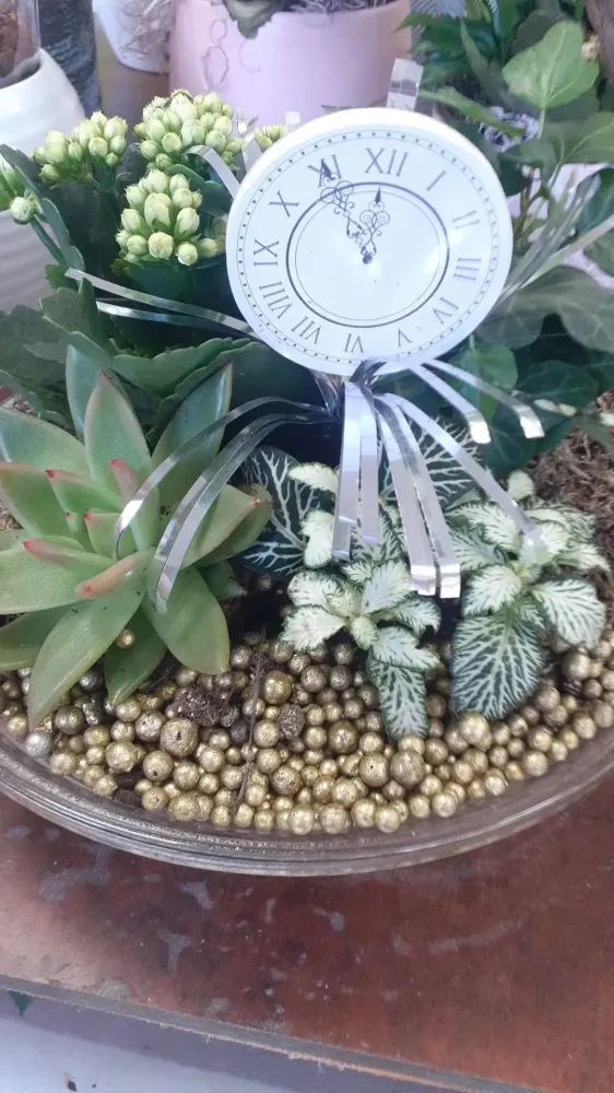 compositions-de-plantes-1