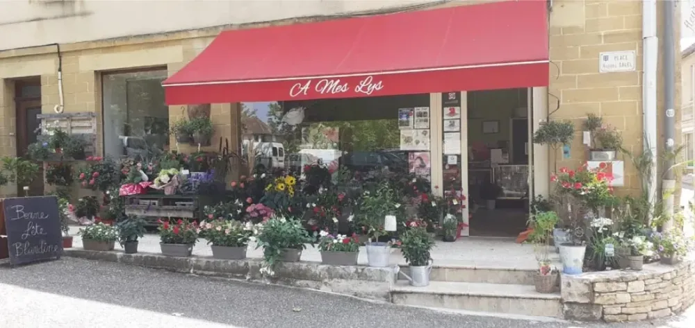 magasin-de-fleurs-a-Cazals